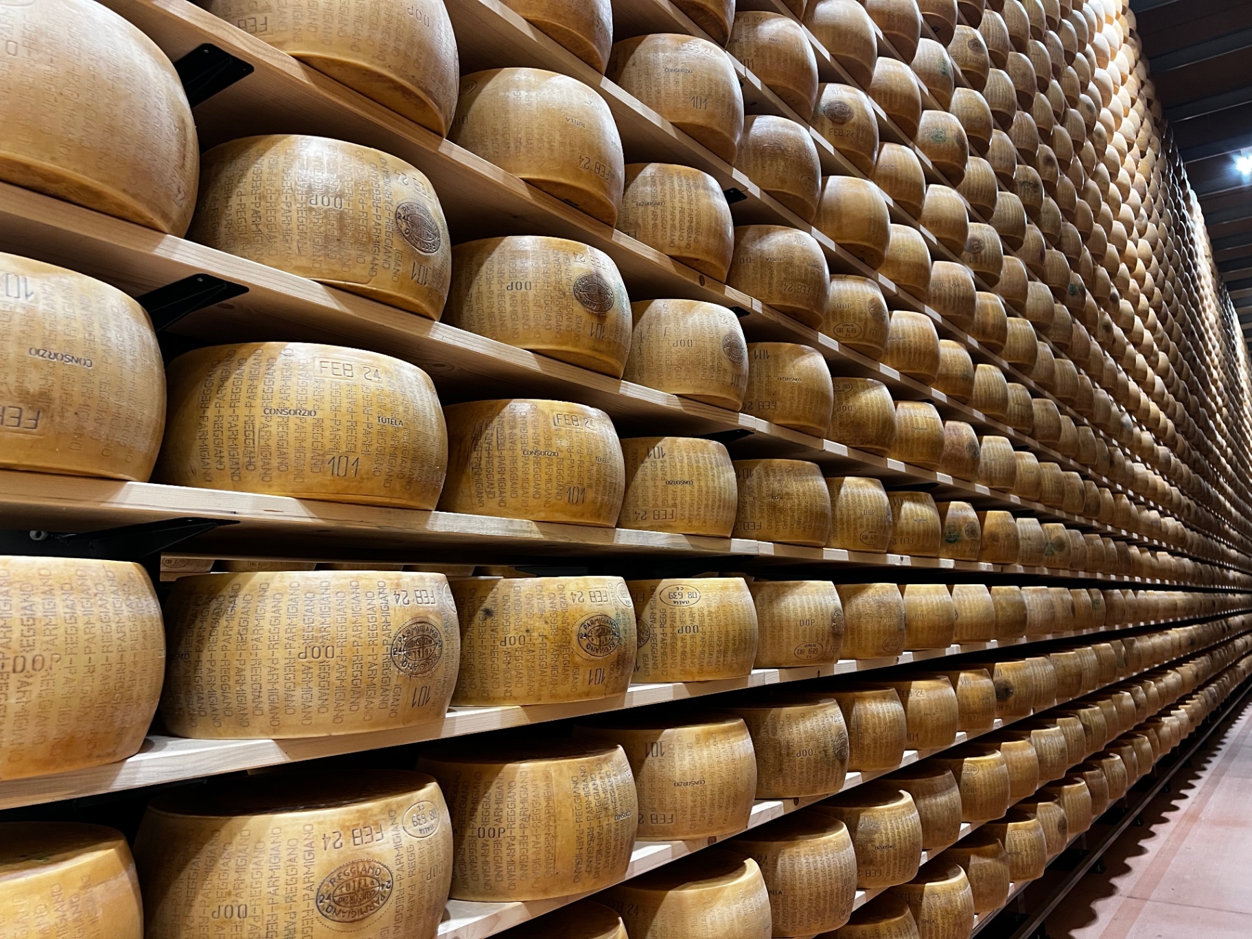 Parmigiano Reggiano · ageing cave